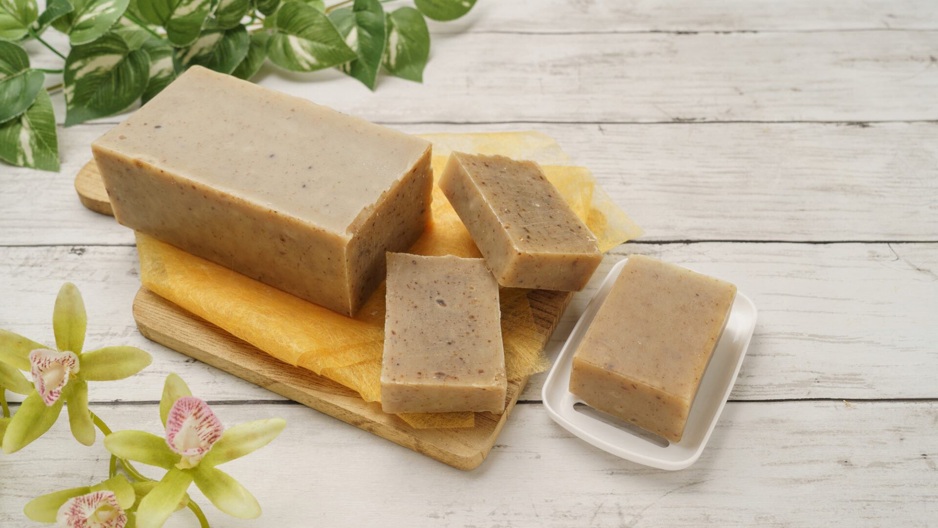 石鹸のある生活のはじまり